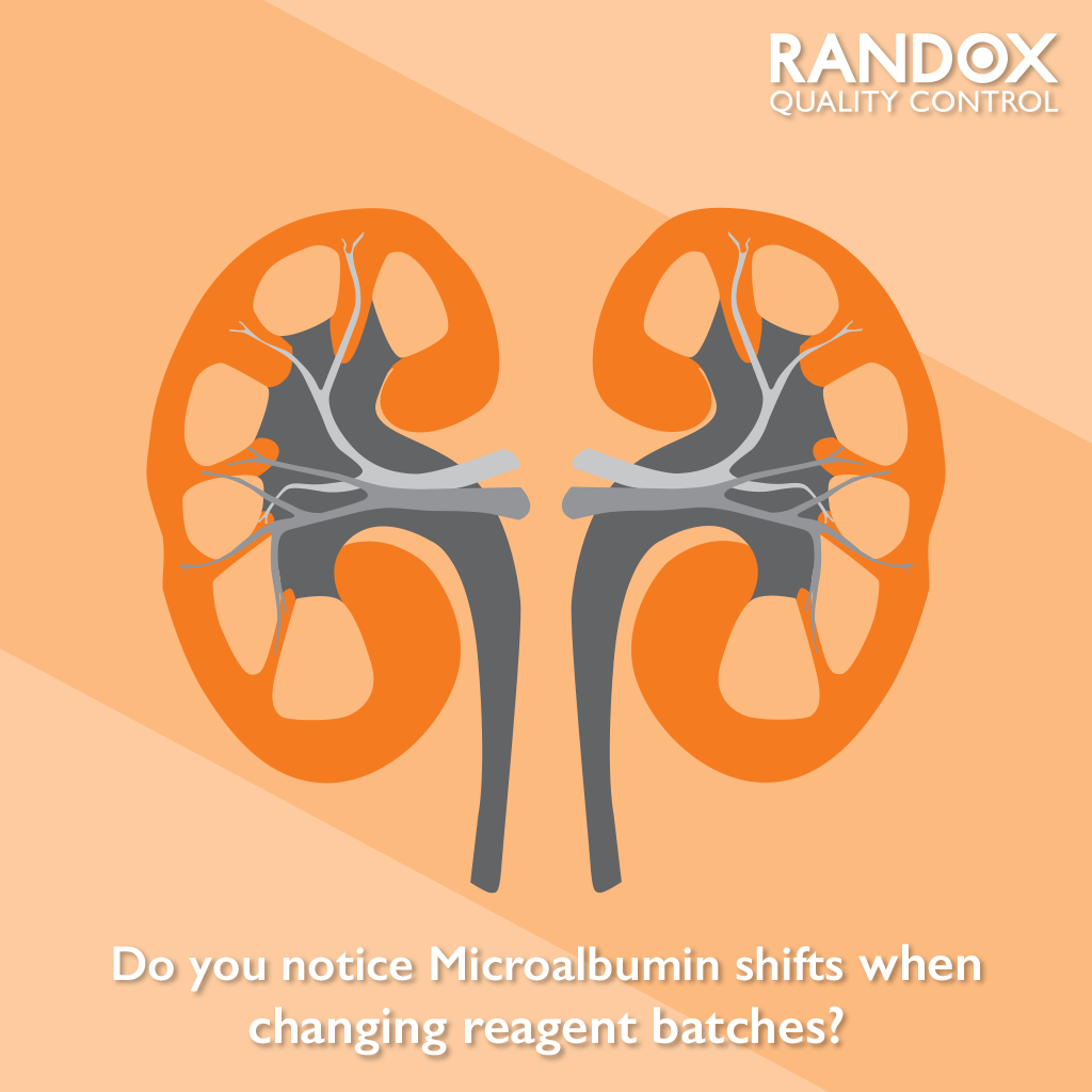 Microalbumin shifts