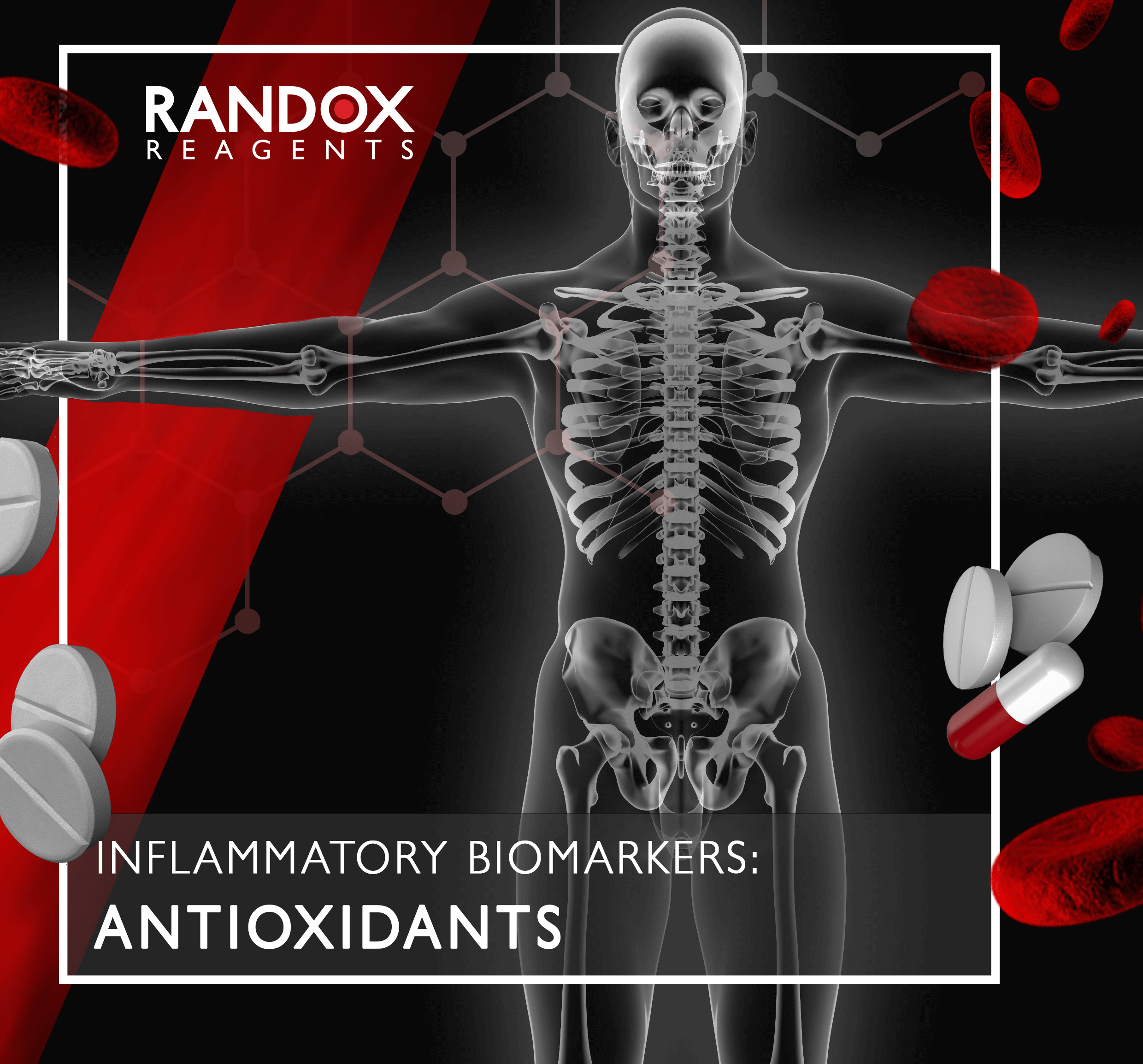 Inflammatory Biomarker Series: Antioxidants