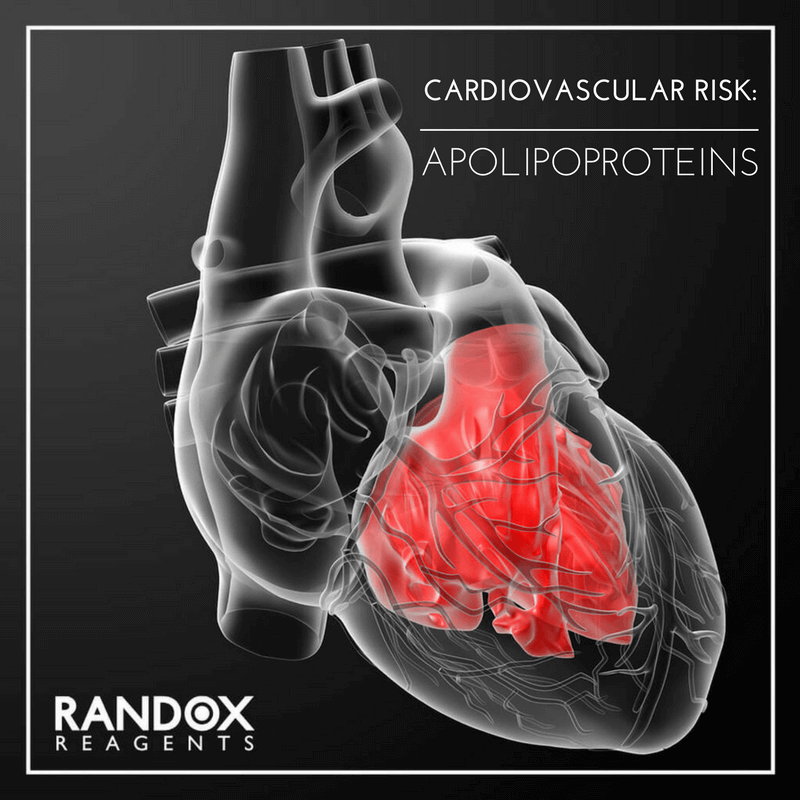 Apolipoproteins may offer earlier detection of CVDs