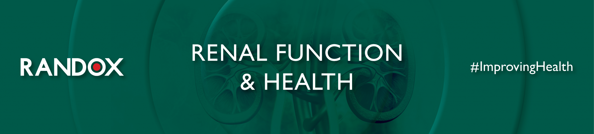 Randox Renal Function and Health | Clinical | Randox Diagnostics