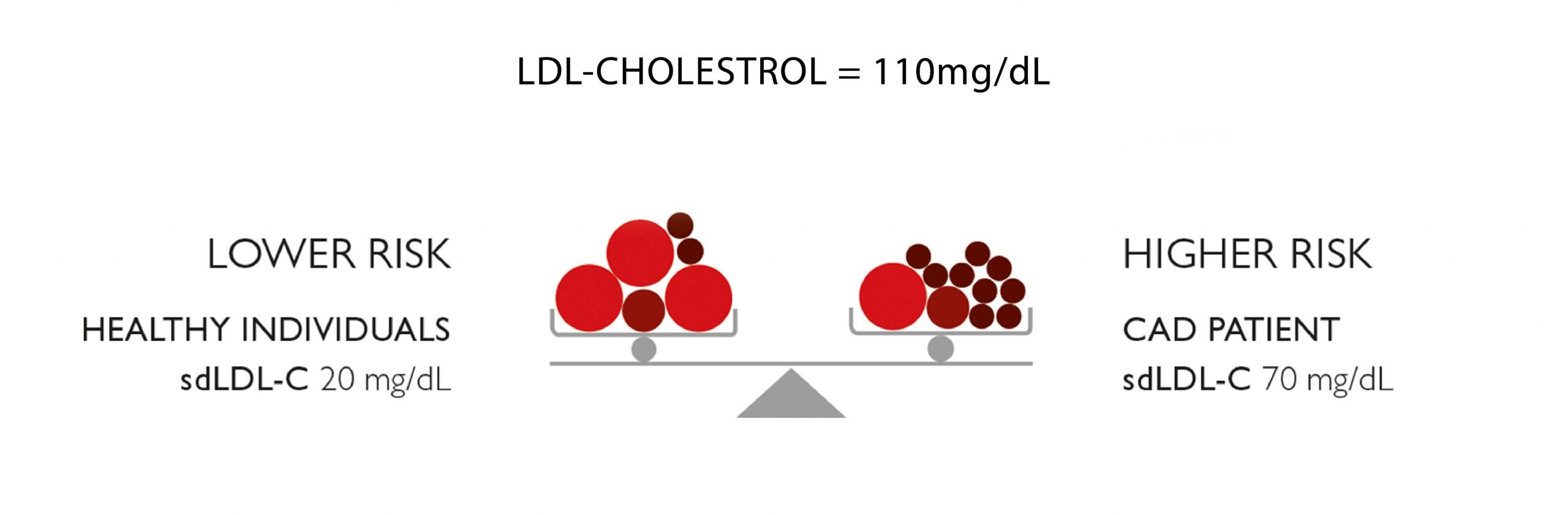 sdLDL-C Scale