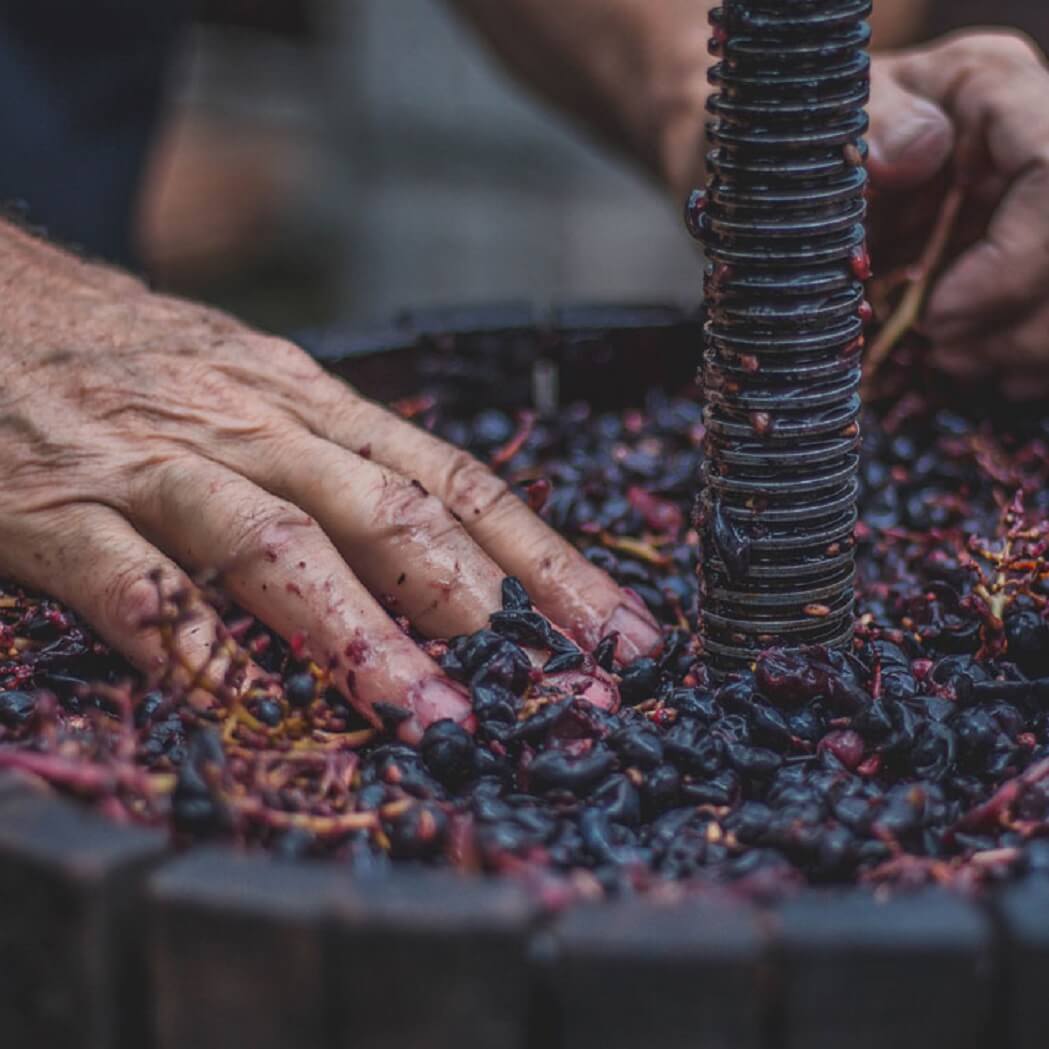 Winemaking