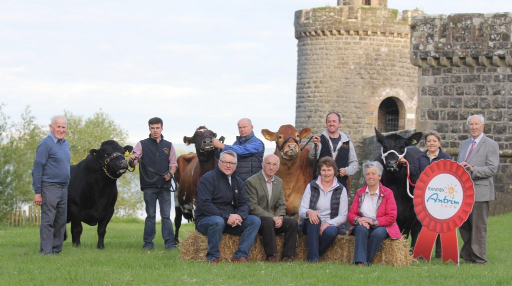 Randox Antrim Show