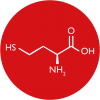 Homocysteine