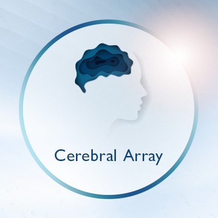 Cerebral Array