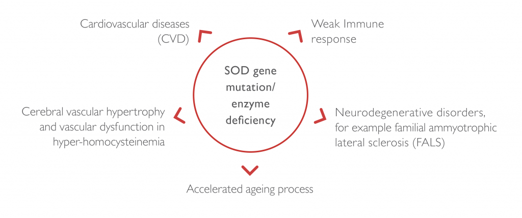 Pathological effects associated with SOD gene mutation or SOD deficiency - Ransod