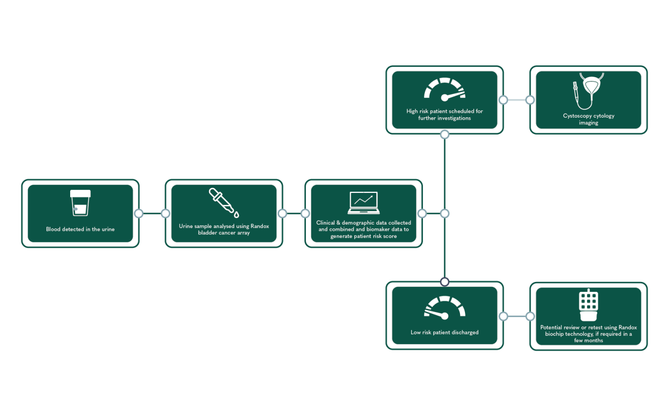 Clinical patient pathway using the Randox Biochip Technology to reduce cystoscopy burden allowing patients at greatest risk to be triaged for urgent cystoscopy.