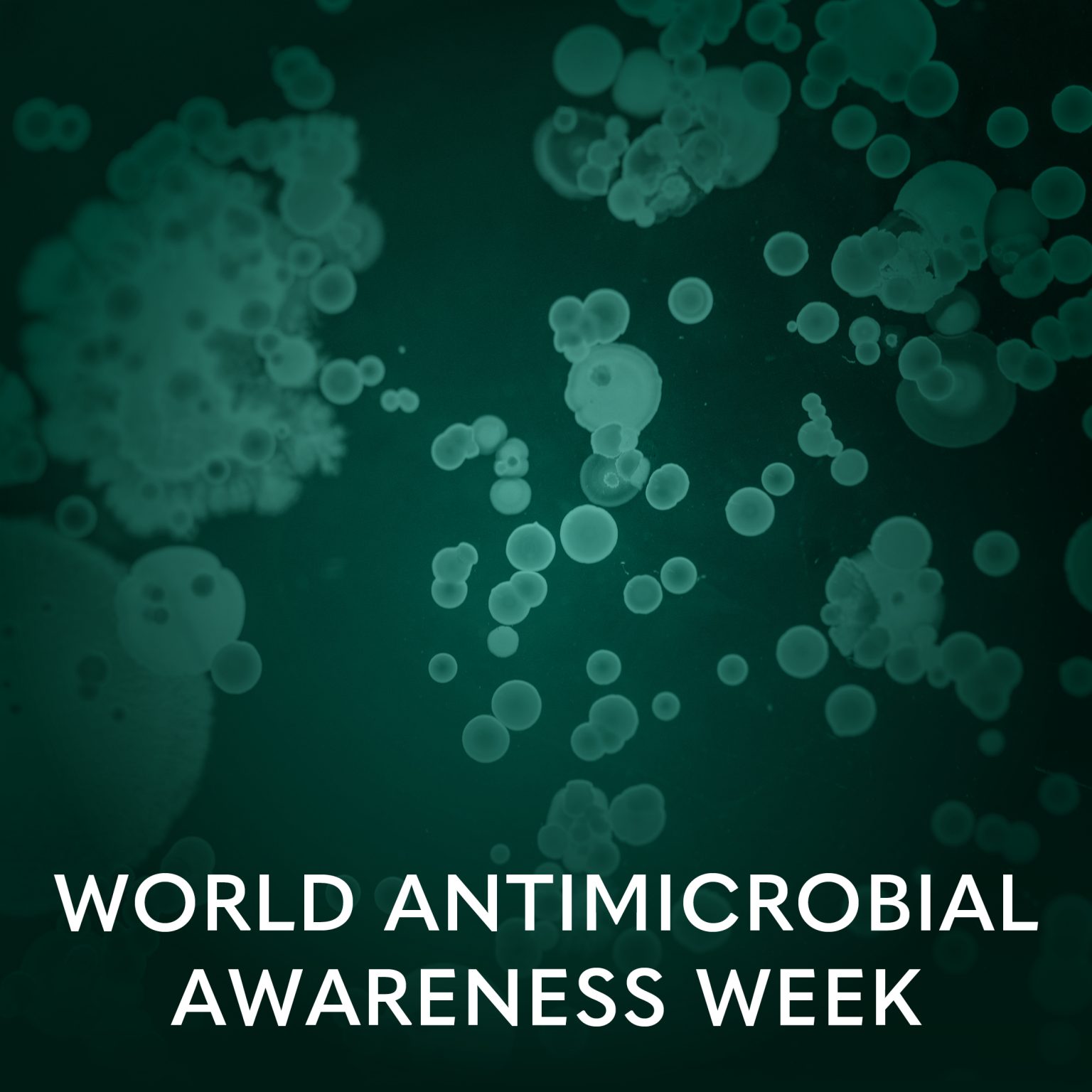 Celebrating World Antimicrobial Awareness week