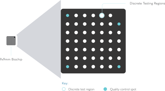 Clinical MultiSTAT_Biochip Explained