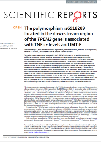 2018.The polymorphism rs6918289 located in the downstream region of the TREM2 gene is associated with TNF-α levels and IMT-F