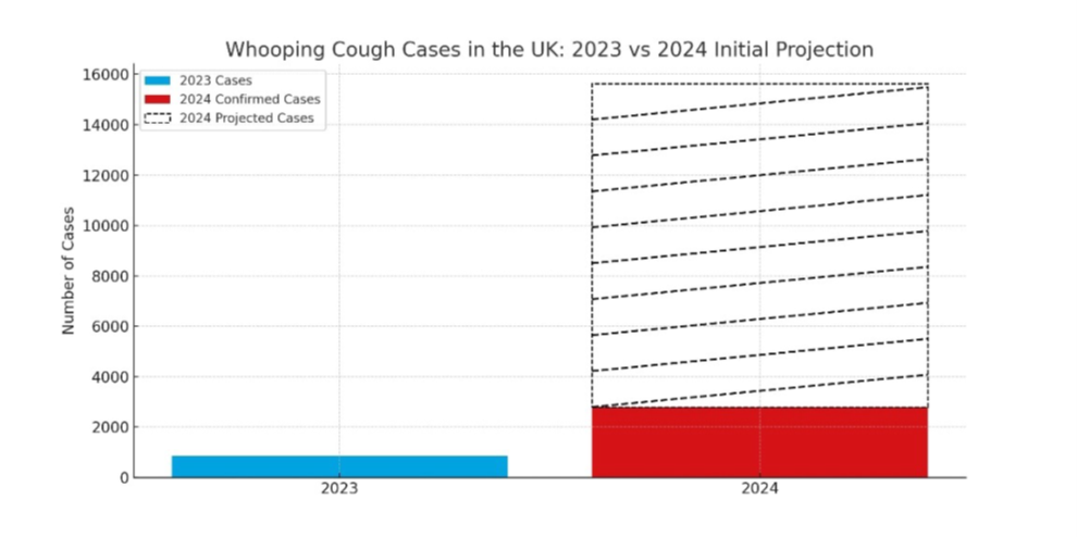 Figure 1. Whooping Cough Cases in the UK: 2023 vs 2024 Initial Projection: This bar chart illustrates the total number of whooping cough cases in the UK for 2023 and the projected number of cases for 2024. The total number of cases in 2023 was 858. For 2024, the confirmed cases from January to March were 2,793. The projection for the remaining quarters of 2024 was based on historical seasonal trends observed from the years 2018, 2019, 2020, and 2023, with projections estimating over 15000 cases by the end of 2024.
